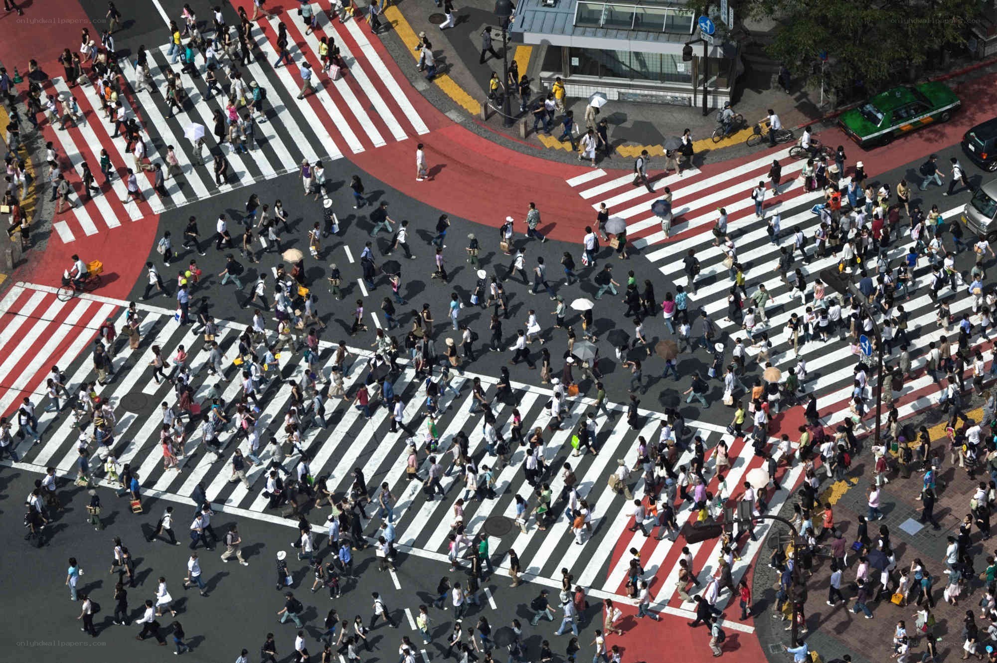 Crowded pedestrian crossing