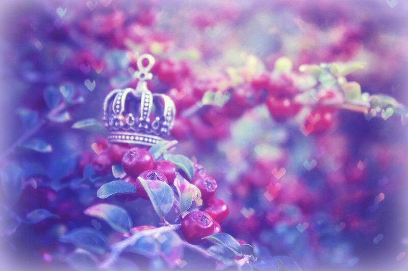 Crown on Berry Bush