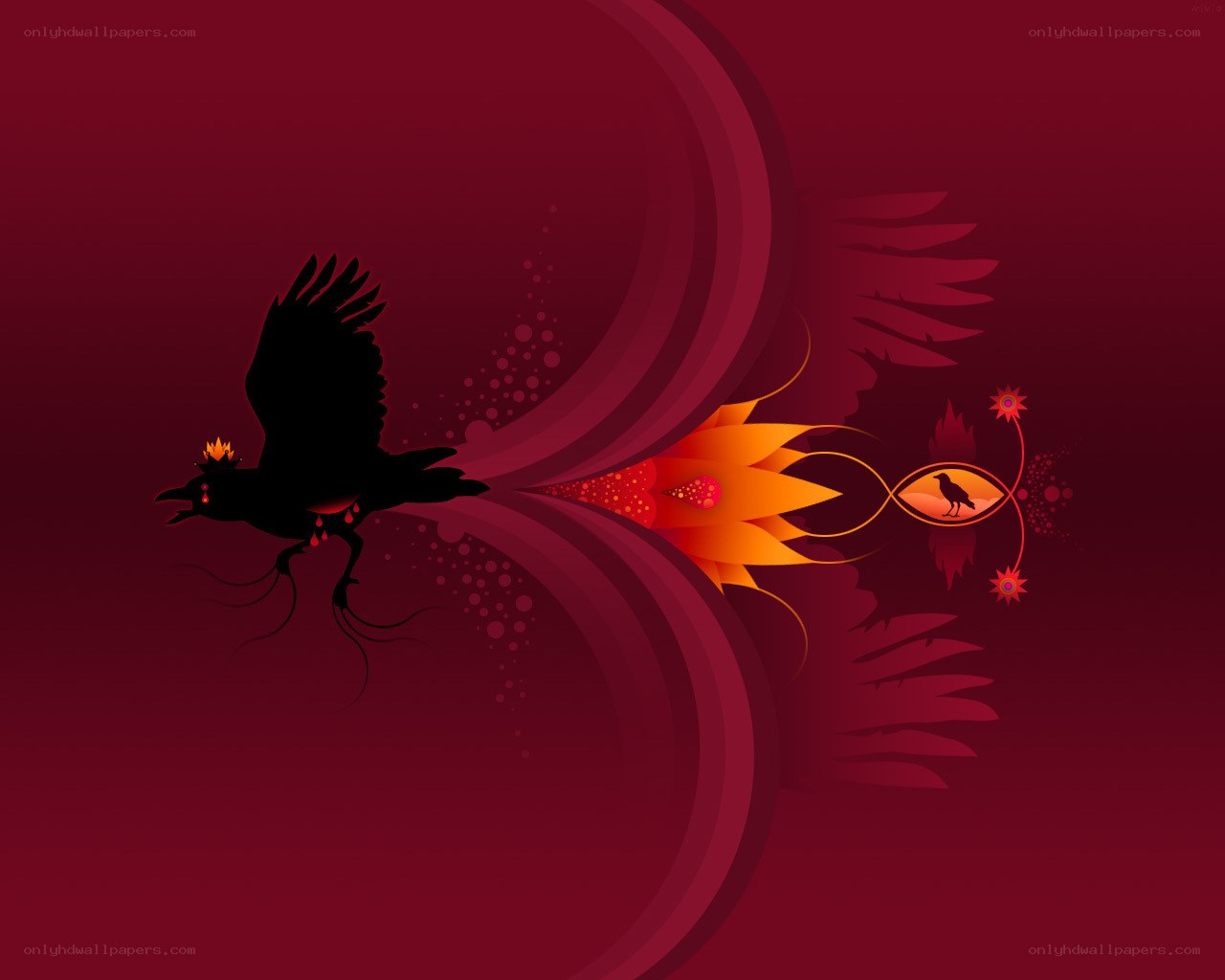 crowned crow in flight
