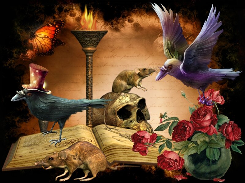 Crows and Rats on Book