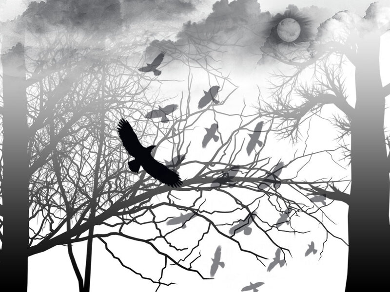 crows flying in a forest
