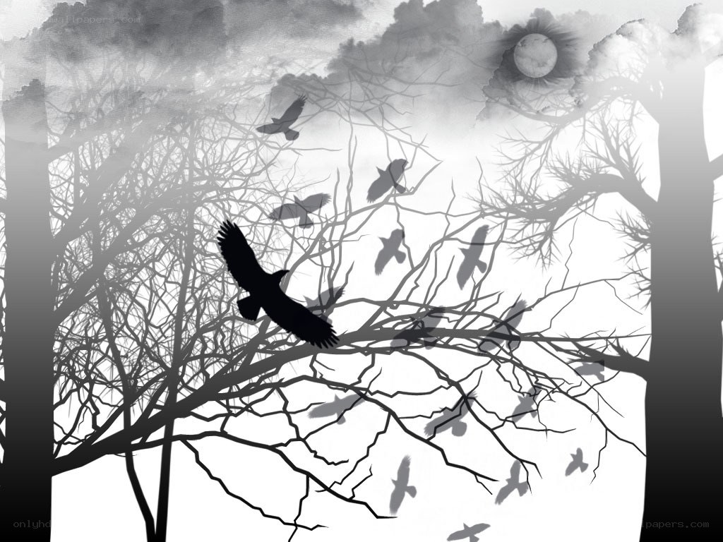 crows flying in a forest
