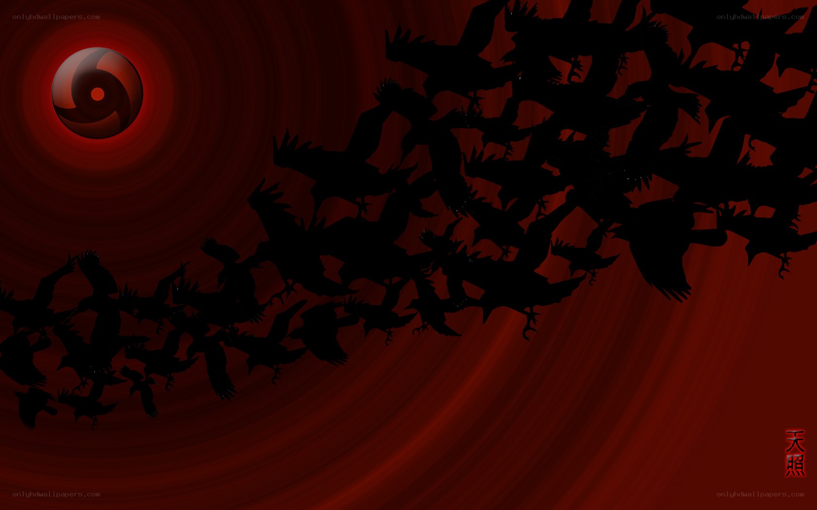 crows flying in red sky