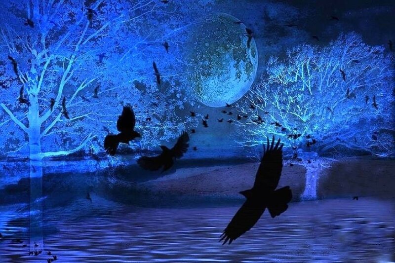 Crows Flying over Water
