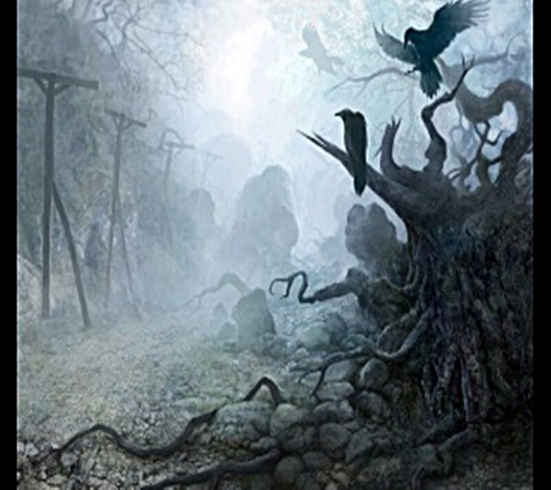 Crows in a Foggy Forest