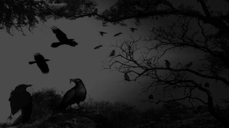 Crows in a Forest — Black