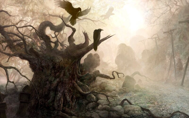 Crows in a Haunted Forest