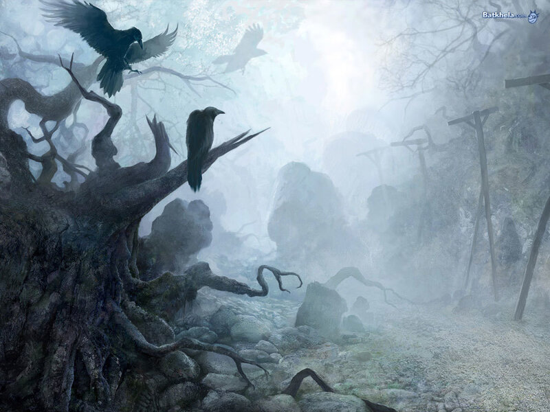crows in a misty forest