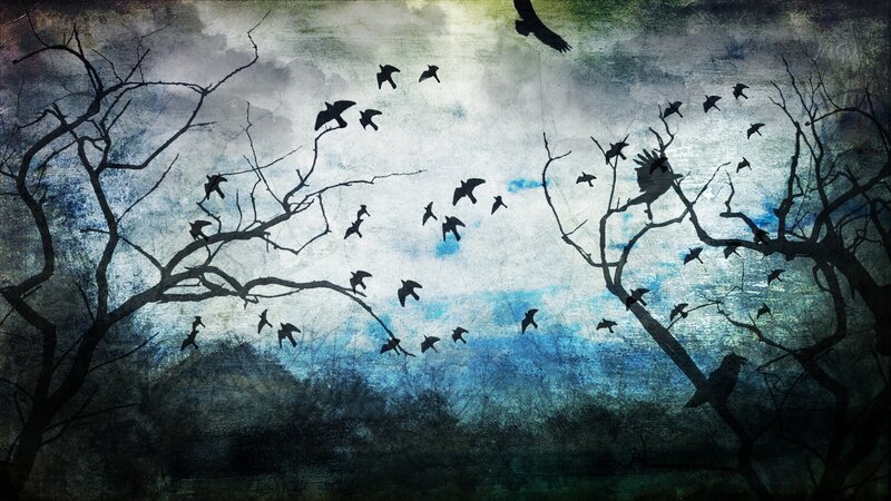 Crows in a stormy sky