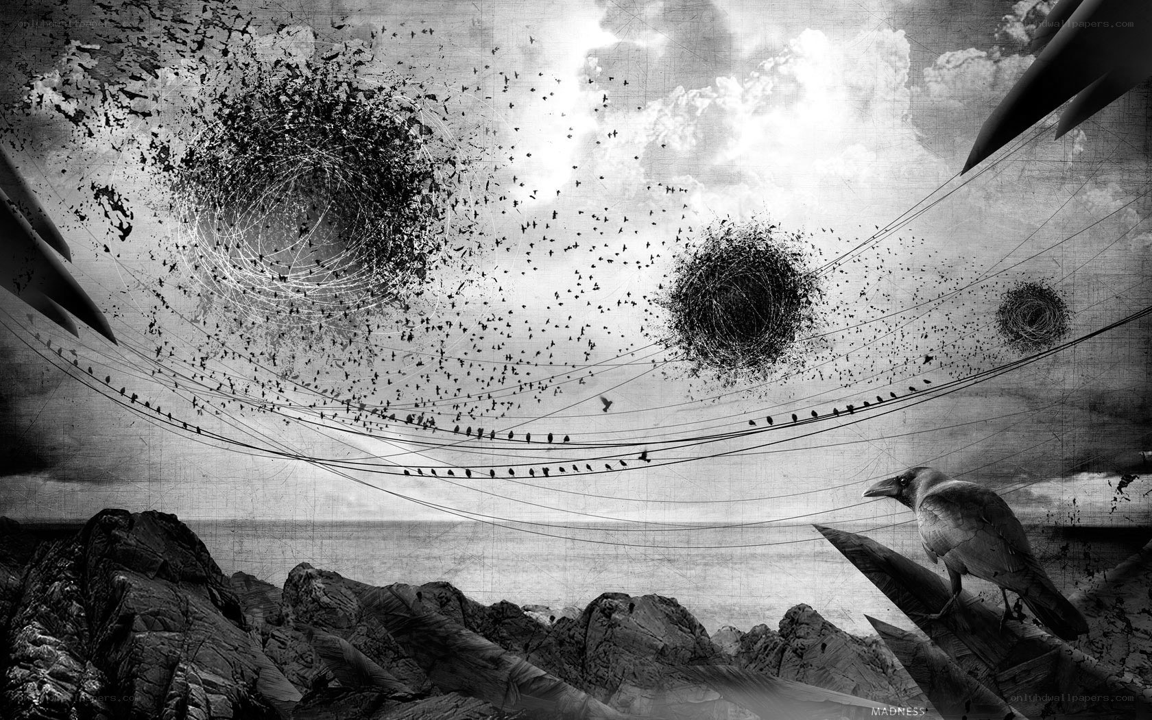 Crows in a stormy sky