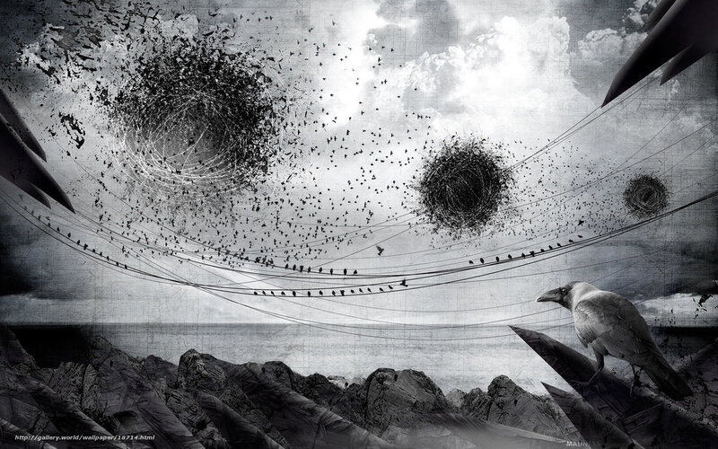 Crows in a surreal landscape