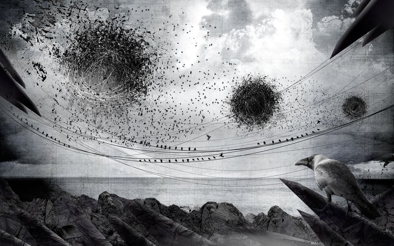 crows in a surreal sky