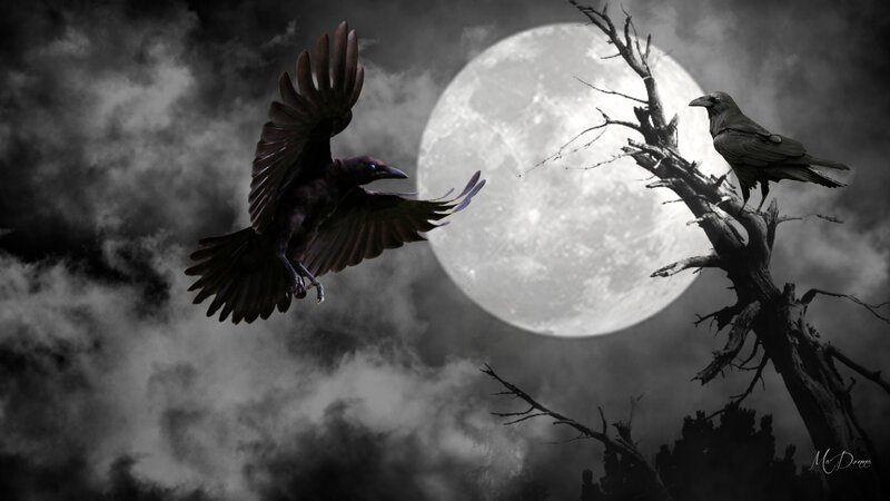 Crows in Moonlight — Black