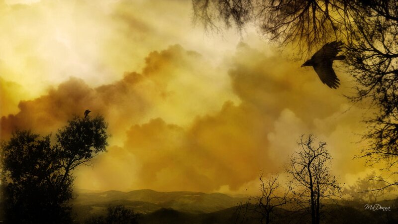 Crows in Smoky Sky