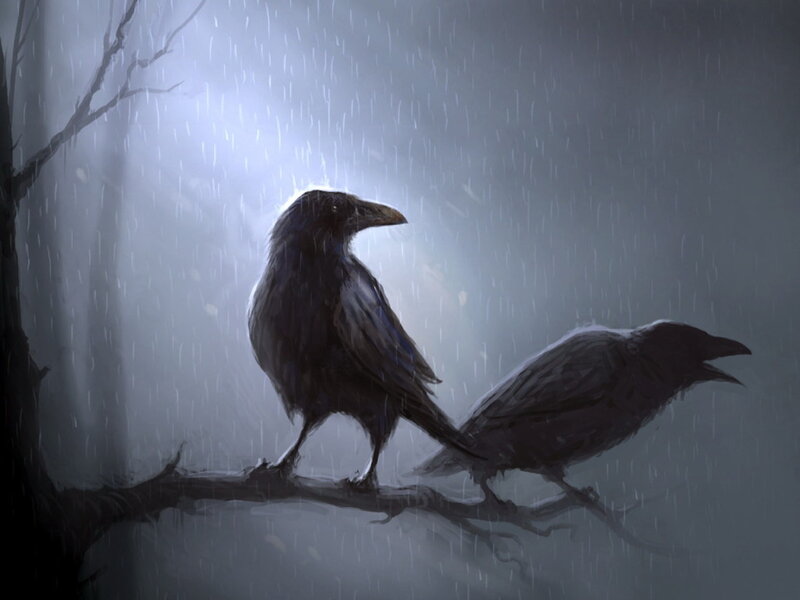Crows in the Rain