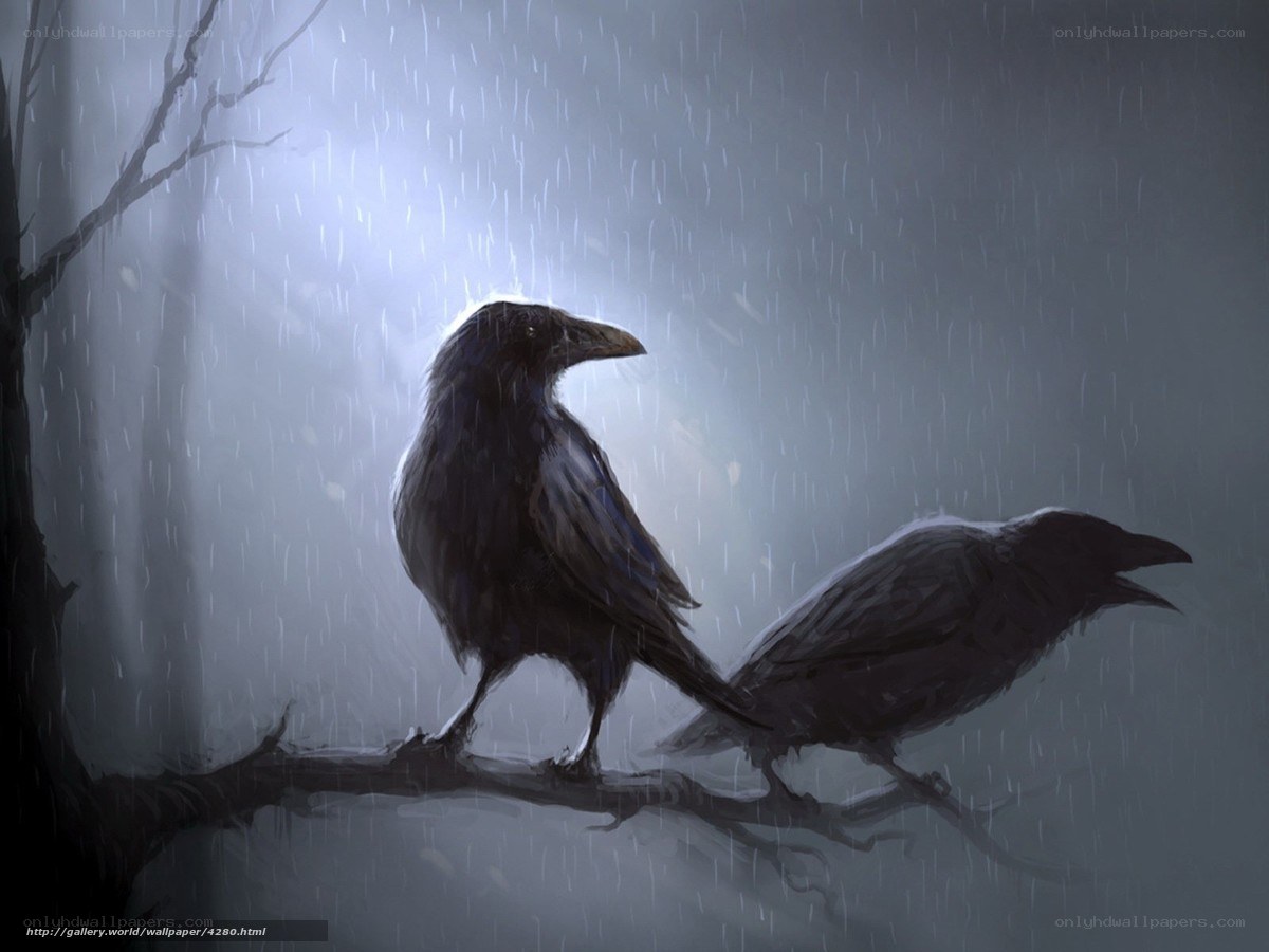 Crows in the Rain