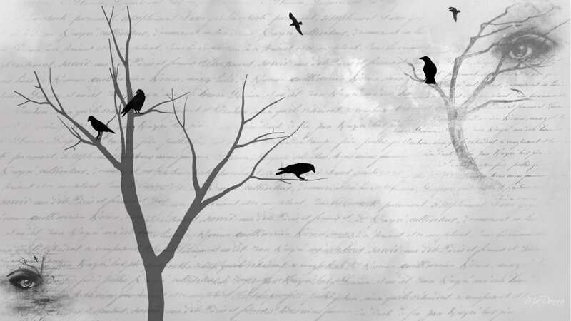 crows on a bare tree