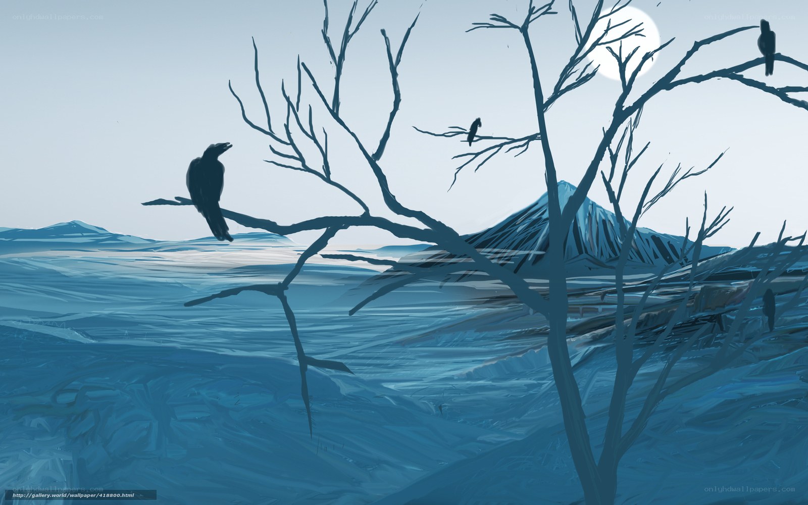 Crows on a barren tree