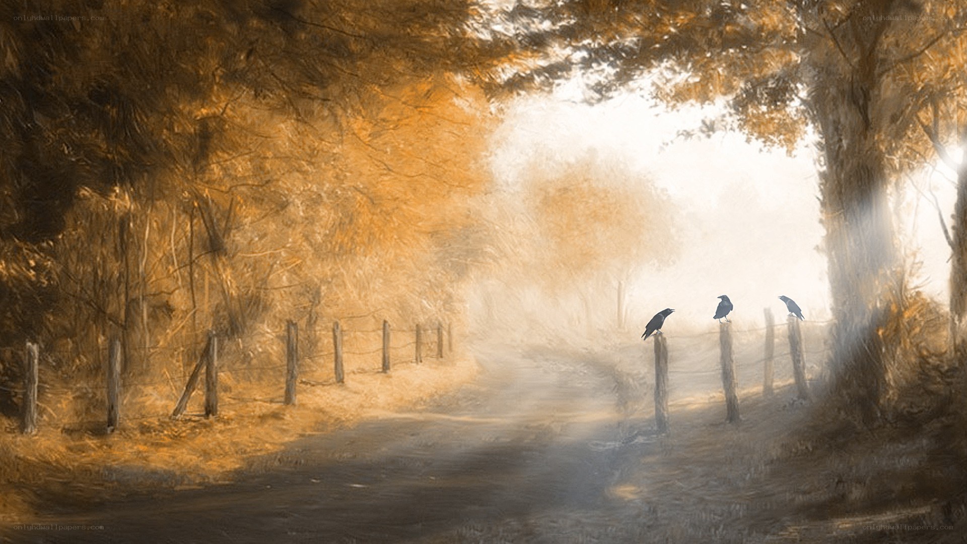 Crows on a misty path