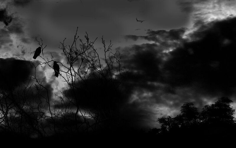 Crows on a stormy day
