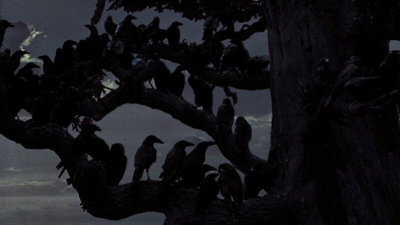 crows on a tree at night