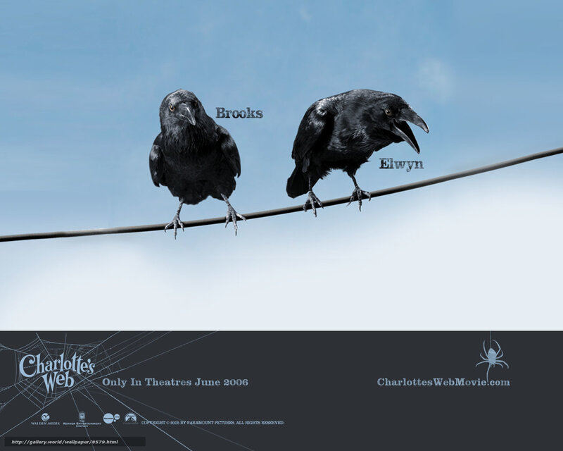 crows on a wire