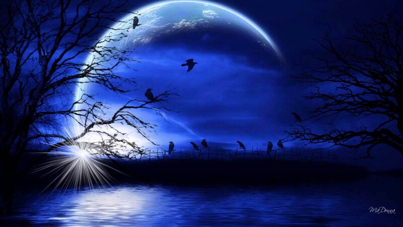Crows on Branches — Blue, Dark