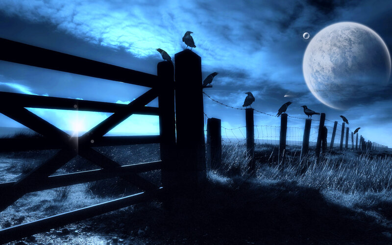 Crows on Fence — Blue, Dark