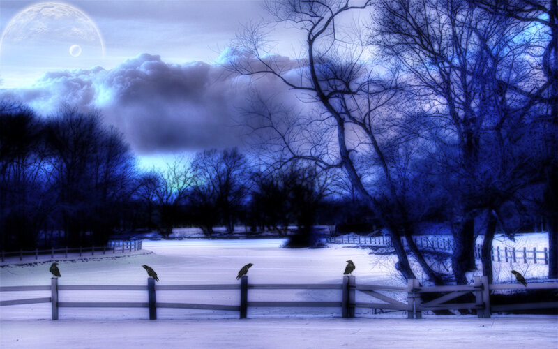 Crows on Fence — Blue, Dramatic