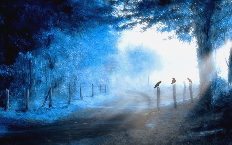 Crows on Fence — Blue