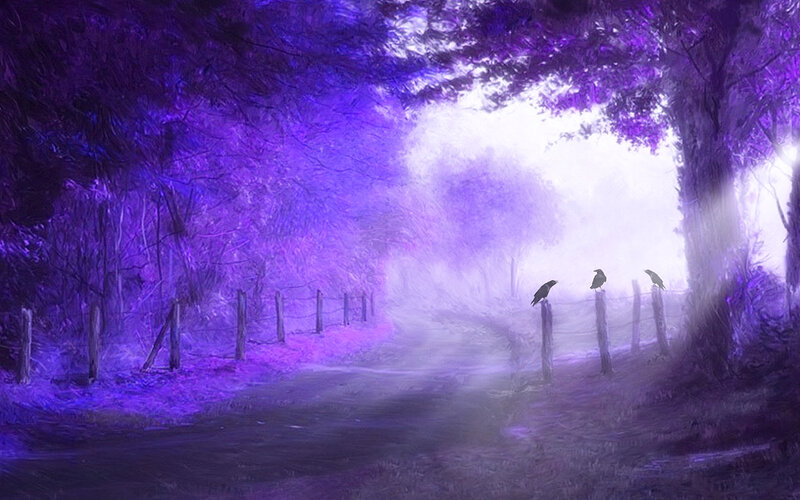 Crows on Fence — Purple