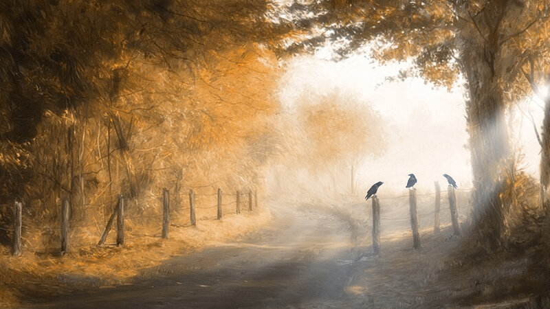 Crows on Fence