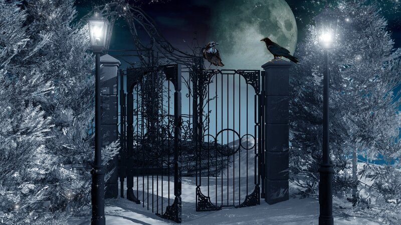 Crows on Gate