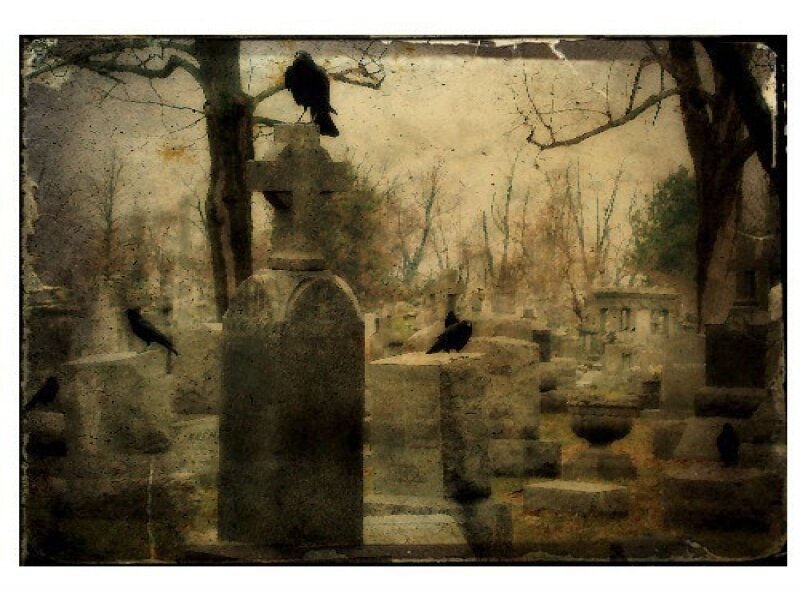 Crows on Gravestones — Brown