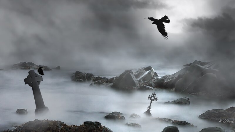 Crows on Gravestones — Gray