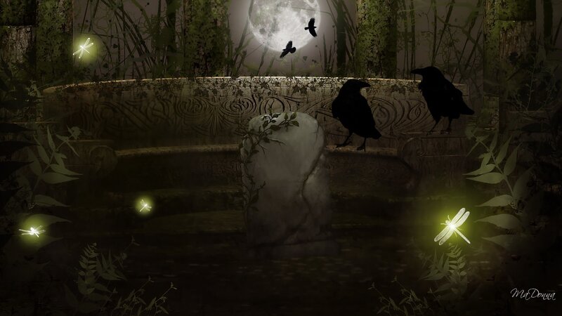 Crows on Stone Bench