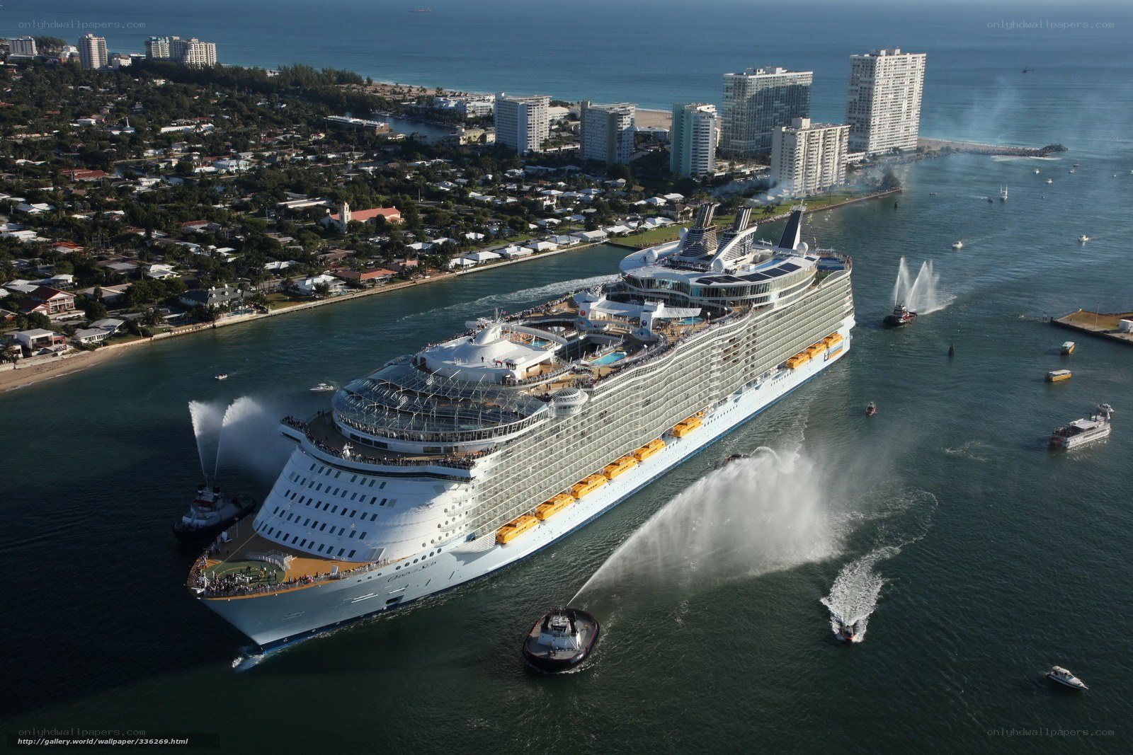 Cruise ship arrival celebration