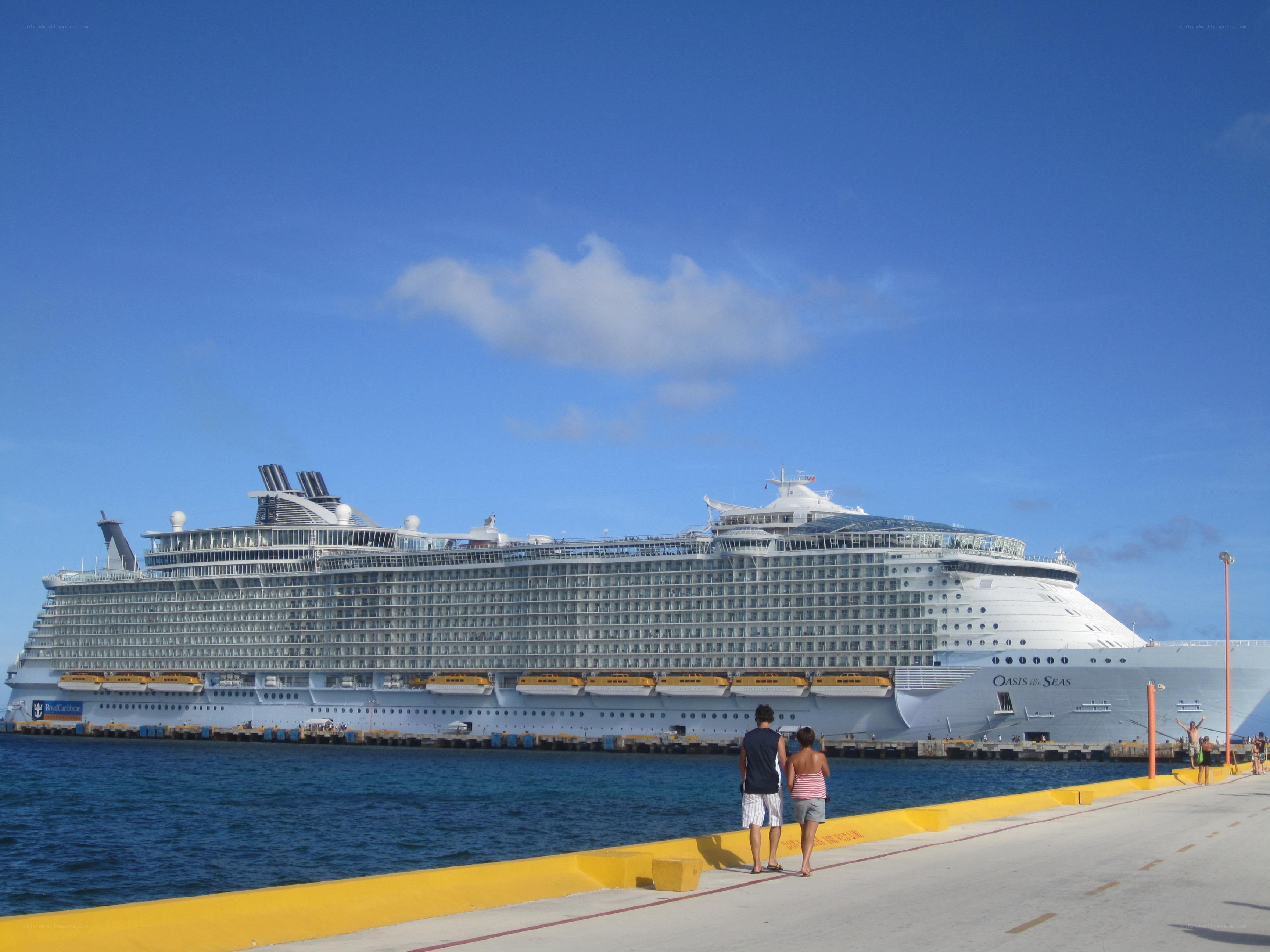 Cruise ship at port