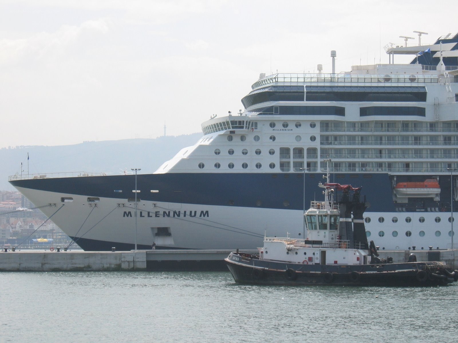 Cruise ship at port