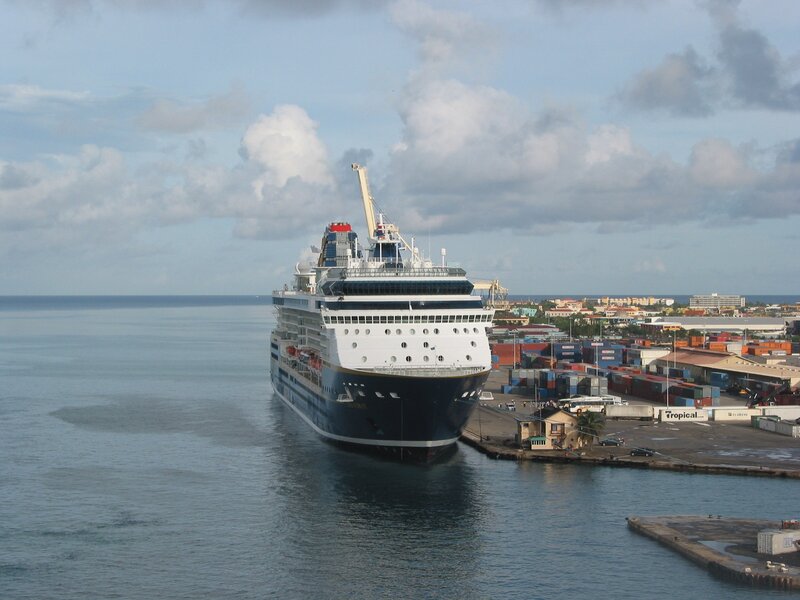Cruise ship docked at port