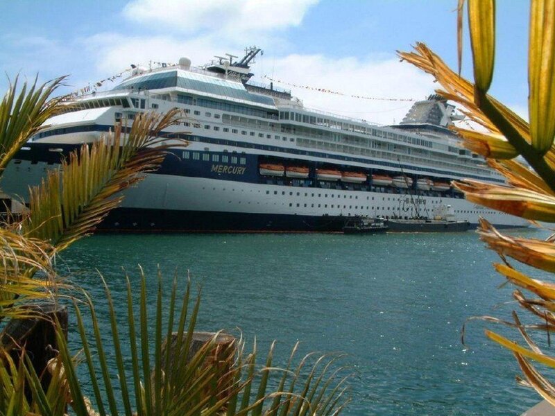 Cruise ship docked at port