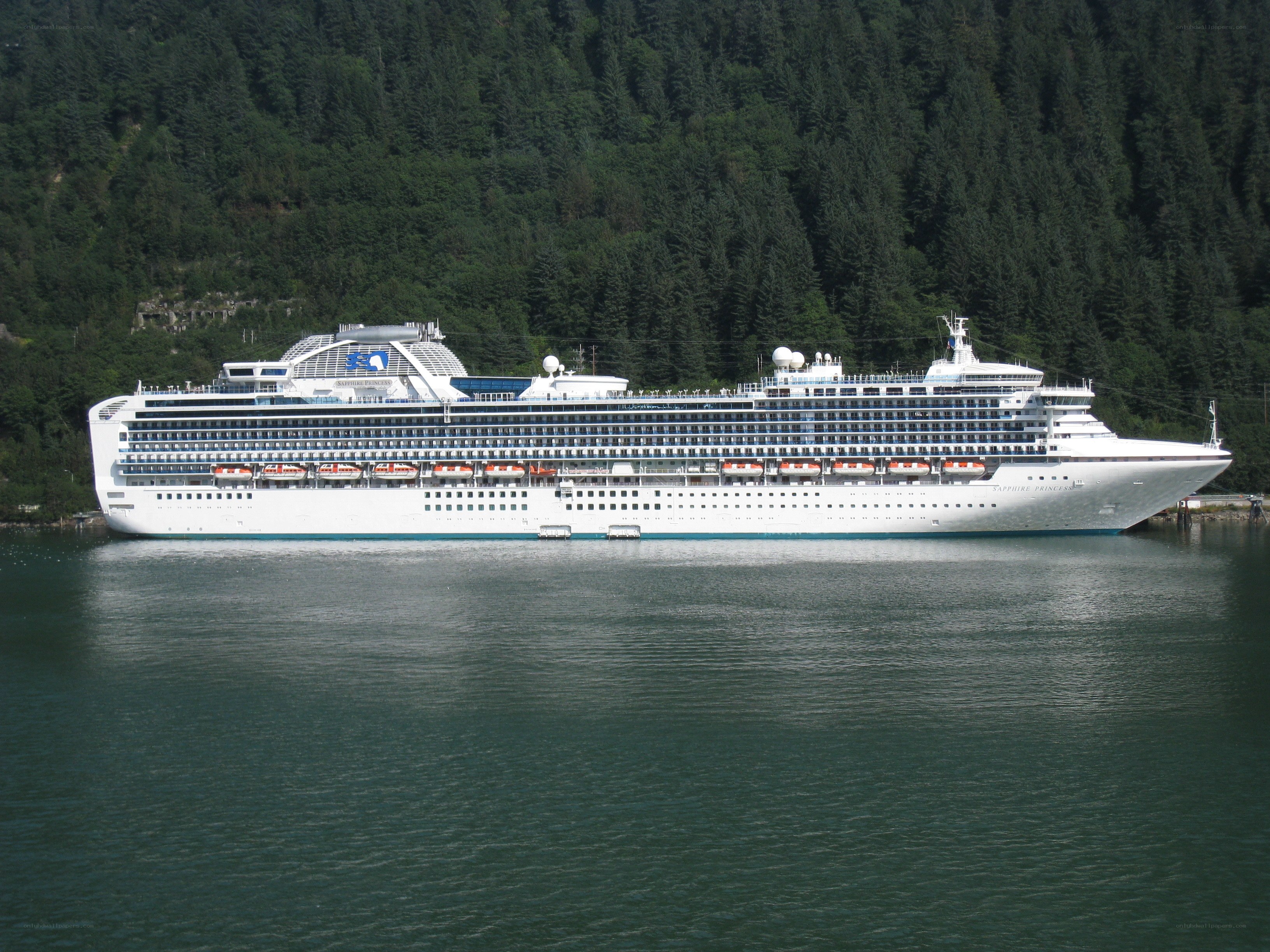 Cruise ship in a forested harbor
