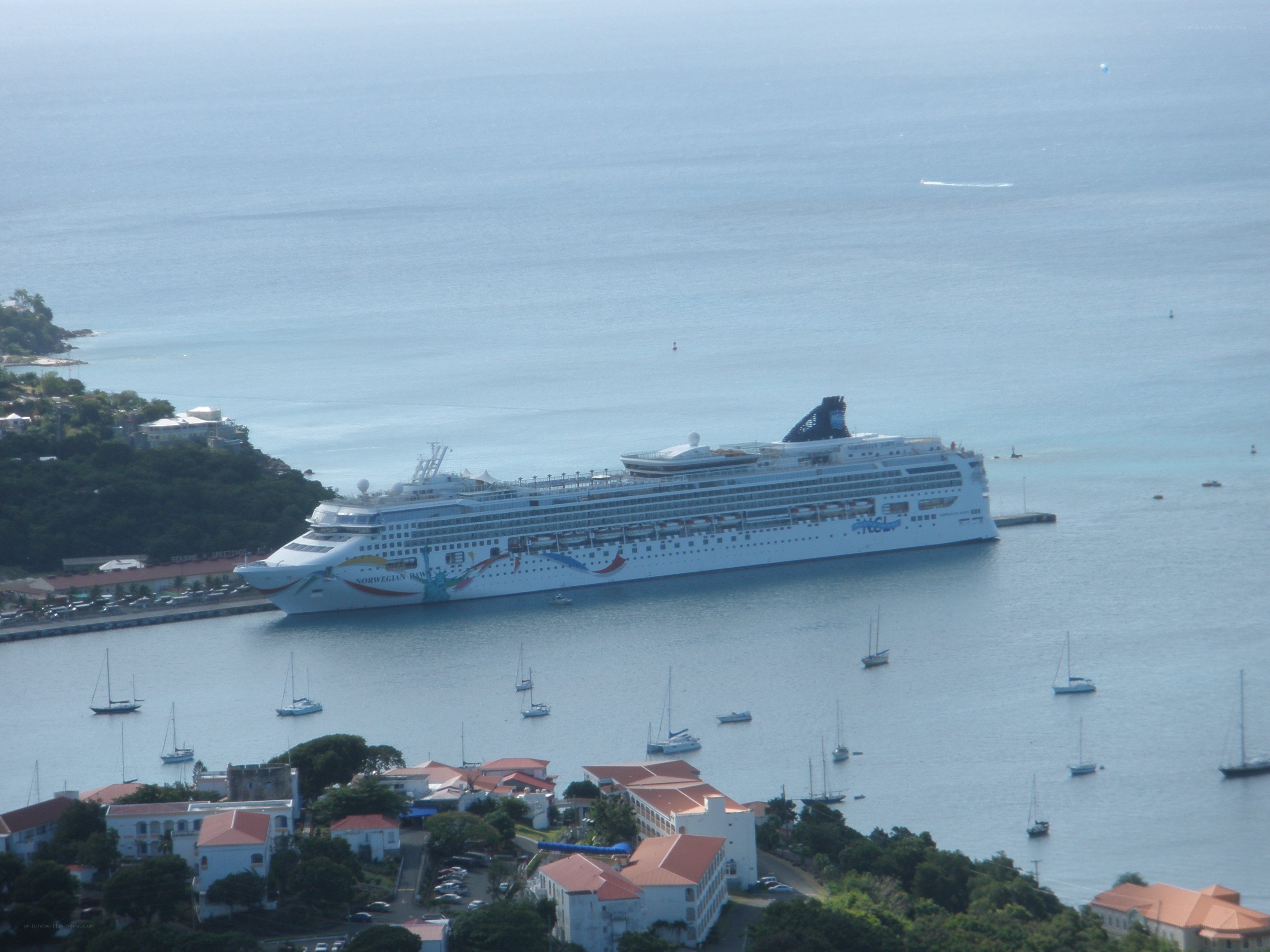 cruise ship in a harbor