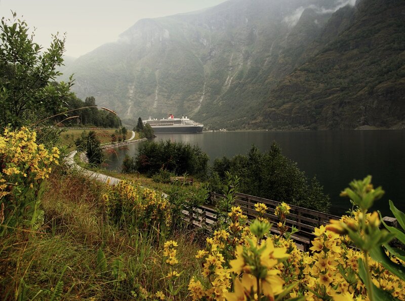 Cruise Ship in Fjord — Green, Serene, Morning