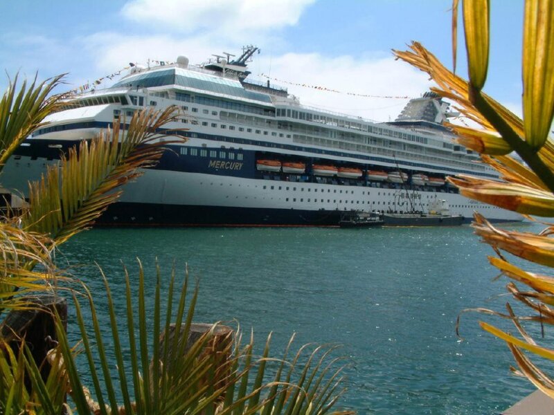 Cruise Ship in Harbor — Blue, Calm, Afternoon, Photograph, Palm Fronds