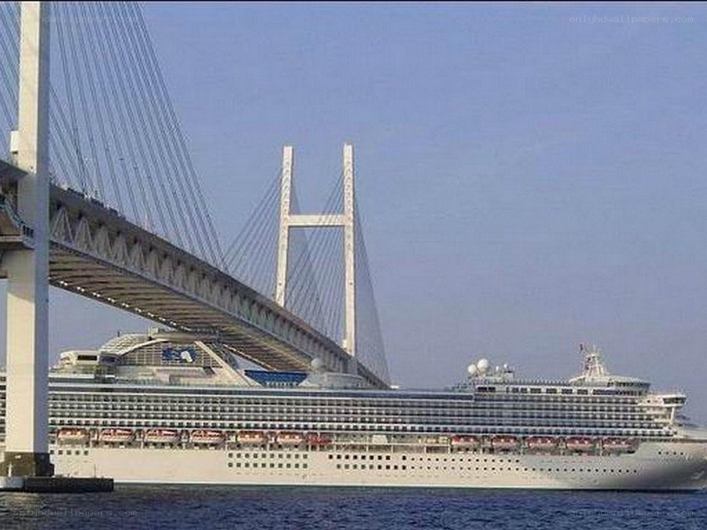 Cruise ship under a cable-stayed bridge