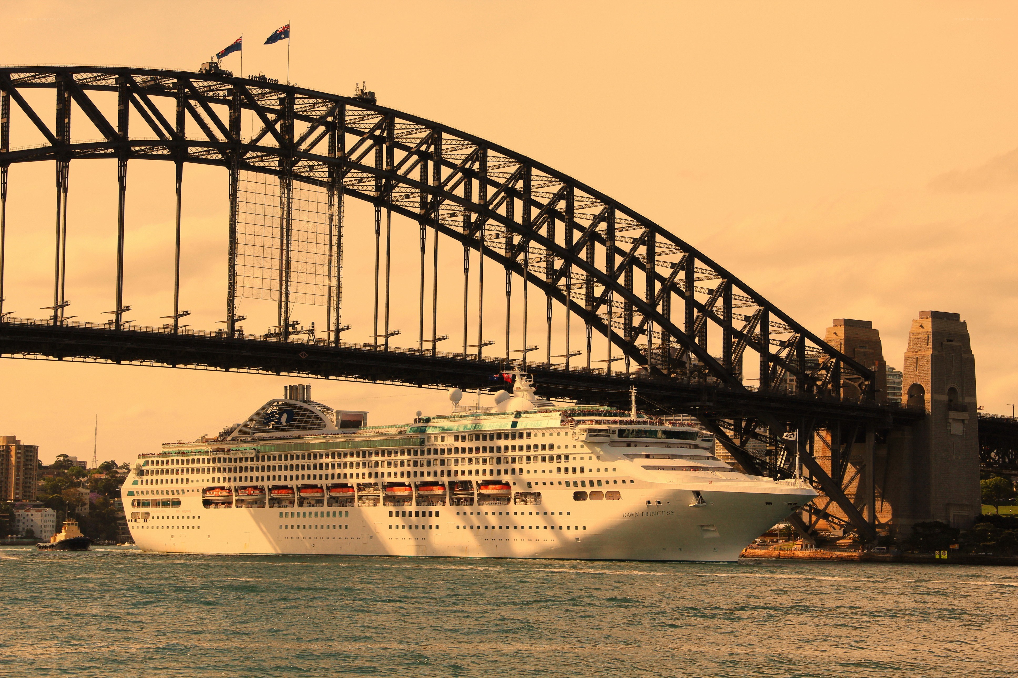 Cruise ship under Sydney Harbour Bridge