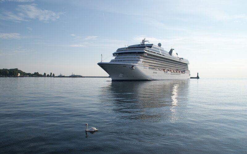 Cruise ship with swan on water