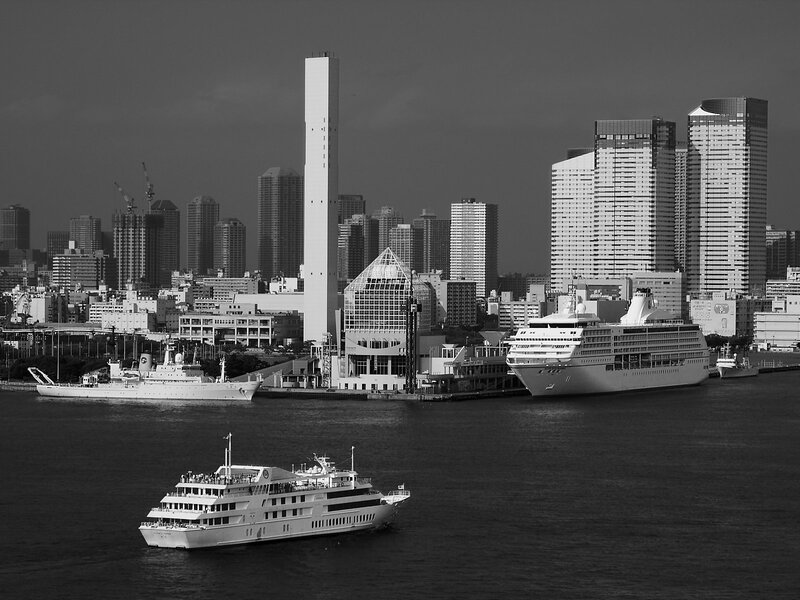 Cruise ships in a city harbor