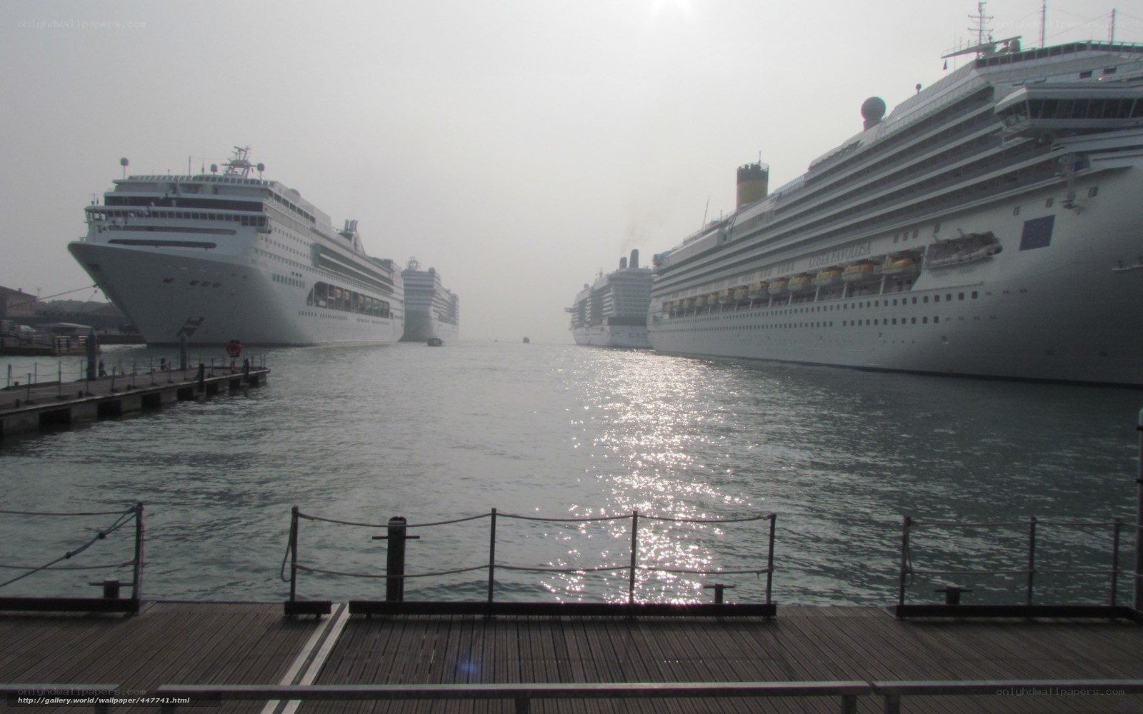 Cruise ships in a harbor